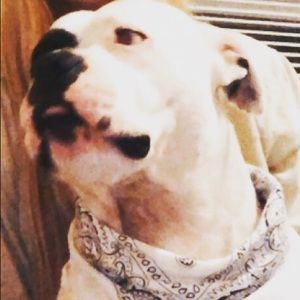 Meet your Posher, Chloe